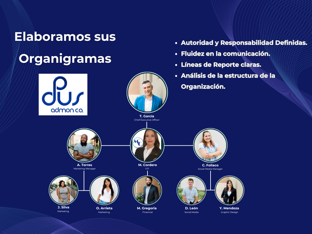 Blue Modern Professional Organizational Chart Graph